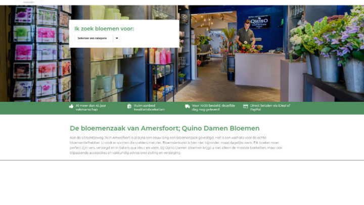 Tekst, website, Quino Damen, Amersfoort